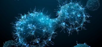 cancer cells, oncology, molecular