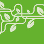 image of vine leaves