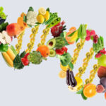Food DNA