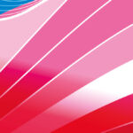 LP Perspectives due diligence flash of colour