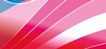 LP Perspectives due diligence flash of colour