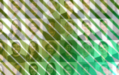 Venture capital’s 2024 Rising Stars: A-D